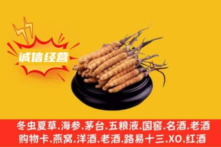 六盘水盘州市回收冬虫夏草